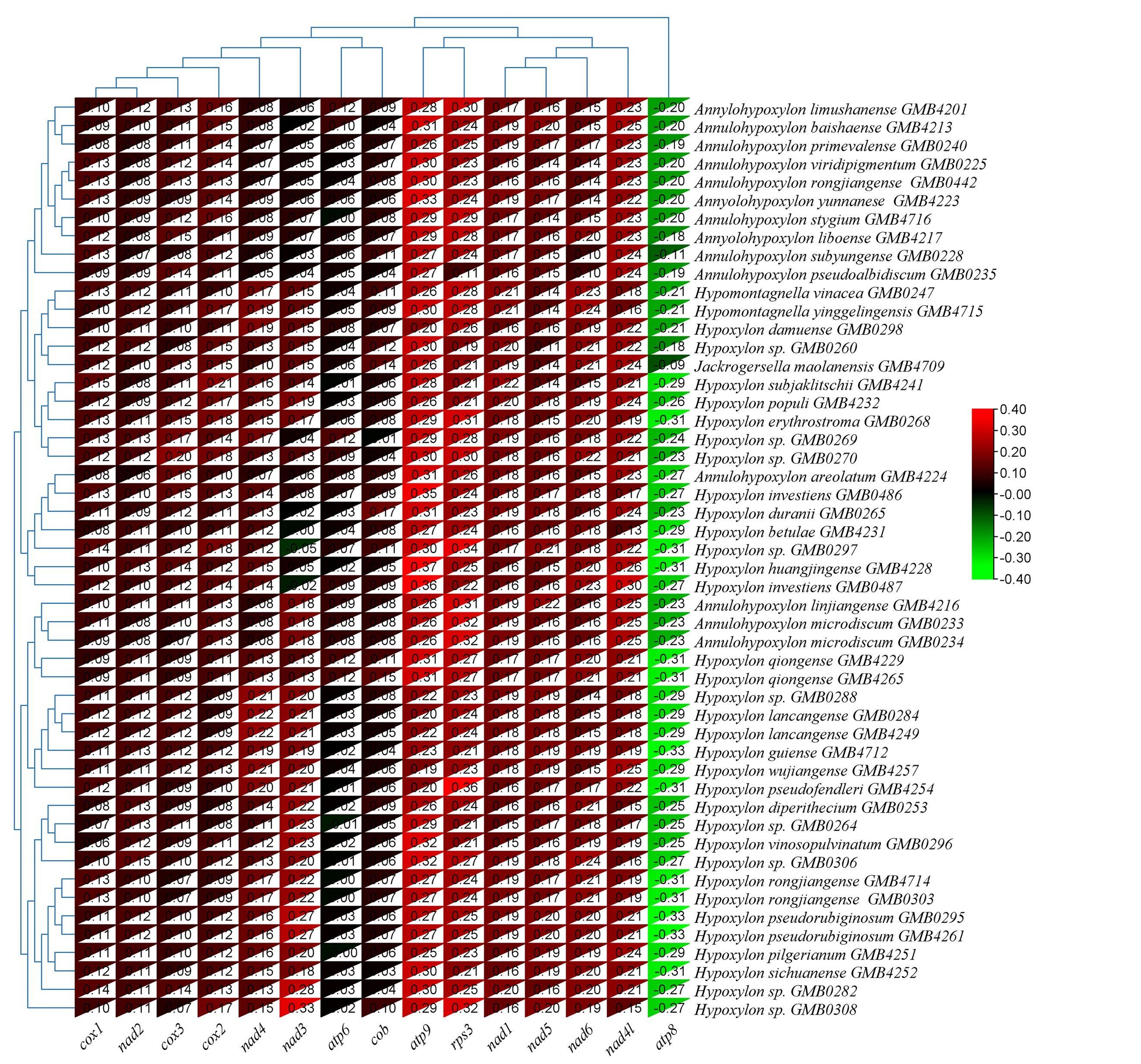 Figure 25